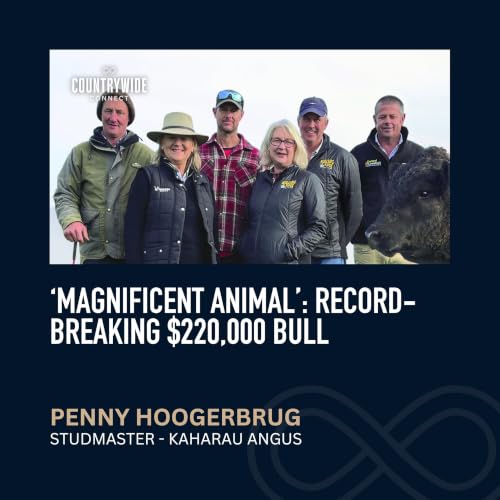 Couverture de Penny Hoogerbrug - &lsquo;Magnificent animal&rsquo;: Record-breaking $220,000 bull