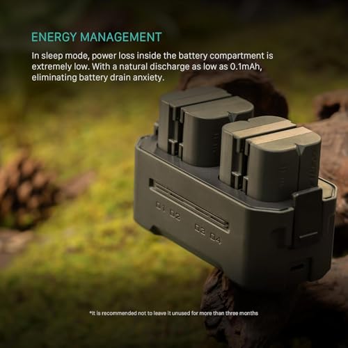 DMW-BLK22 Ersatzakku- und Ladegerät-Set, 2er-Pack 2400-mAh-Akkus und Vierkanal-USB-C-PD-Schnellladegerät, kompatibel mit Panasonic Lumix S5, S5II, S5M2, S5M2X, S1RII, GH6, GH5II, G9M2 TBC-BLK22-A-GN