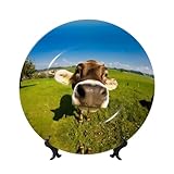 Matériau de haute qualité : notre assiette décorative en porcelaine anglaise est fabriquée en porcelaine anglaise de haute qualité pour garantir la durabilité, surface lisse, et ne vous coupera pas les mains lors de l'utilisation