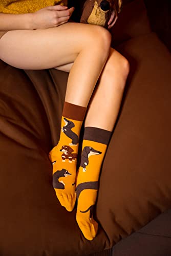 Dedoles Socken Unisex Damen Herren & Kinder Baumwolle viele lustige Designs 1 Paar Geschenk links rechts verschieden, Farbe Gelb, Motiv Dackel, Gr. 43-46
