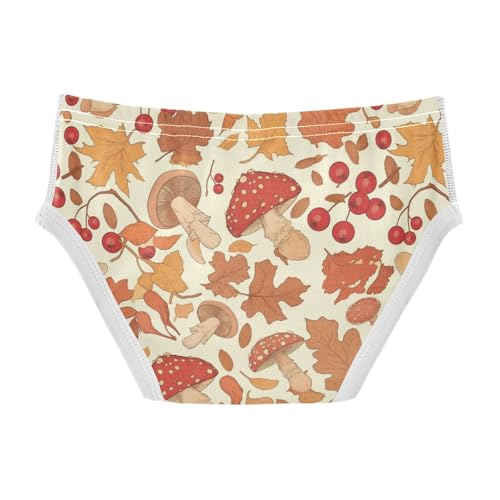 Wusikd Leaves Berries Boys' Underwear Cotton Mushrooms Boys Briefs Soft Toddler Underwear 2T2