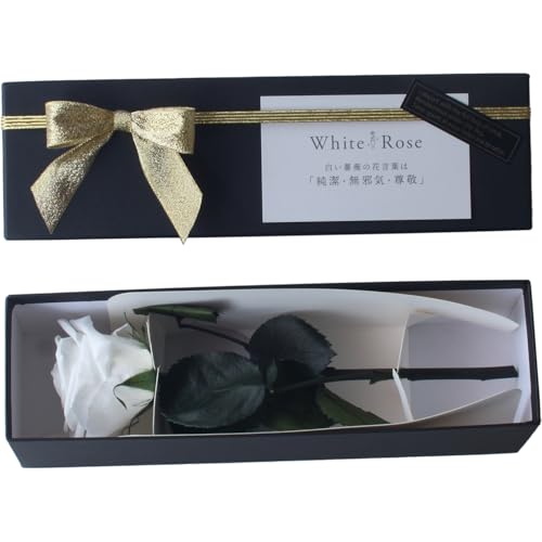 vU[uht[ vU[ht[ ւKN v[g j LO a AW t[Mtg t[AWg ͂Ȃo   ̓ (iԌtj)