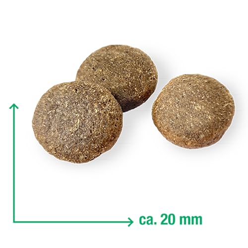 Pferd & Kartoffel Adult 3 kg |Getreidefreies Trockenfutter | Monoprotein Pferd| von Tierärzten entwickelt | Hundefutter mit frischem Fleisch | Premiumfutter für Hund