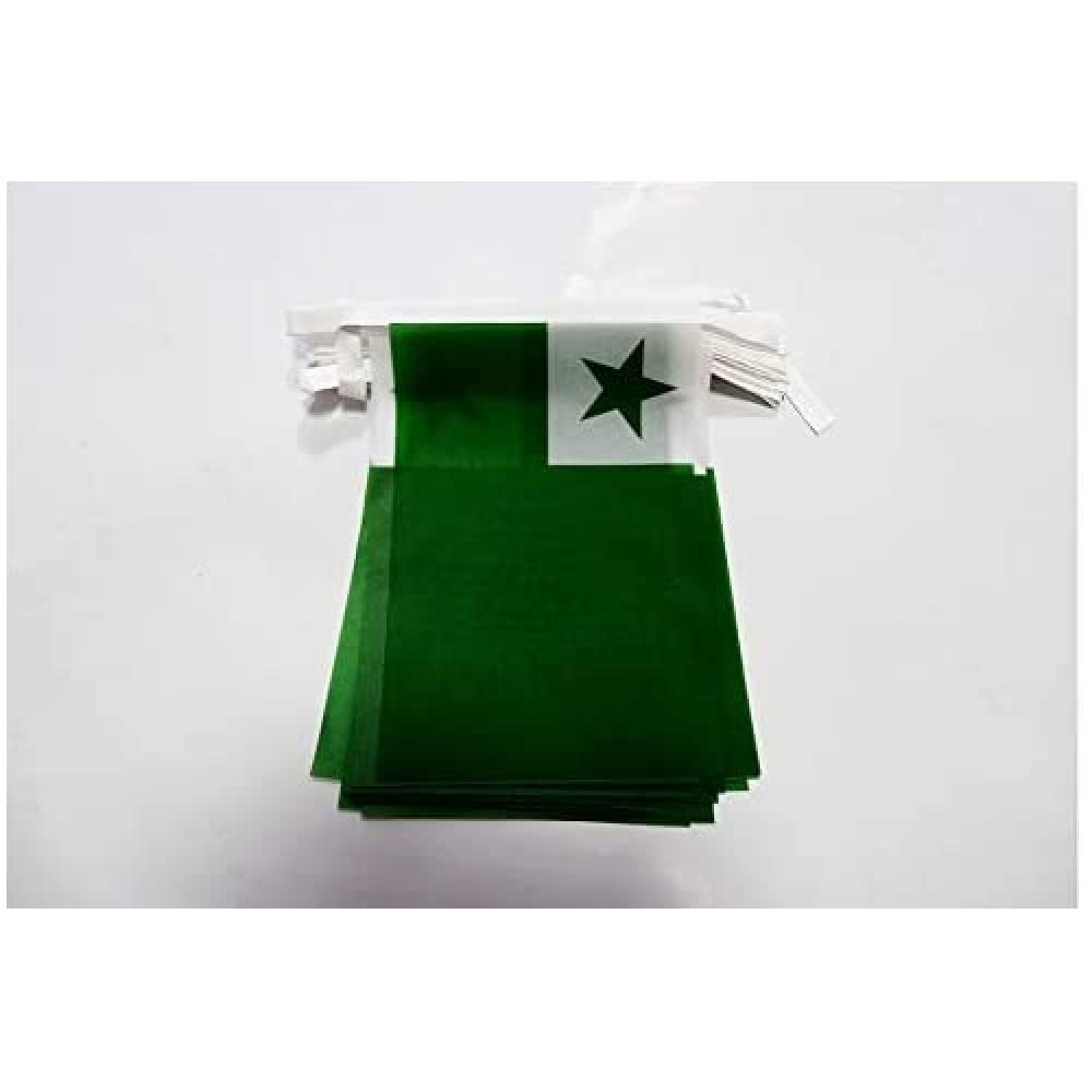AZ FLAG - Fahnenkette Esperanto 6 Meter Mit 20 Flaggen - 21x14 cm - Plansprache Girlande Flaggenkette 14 x 21 Cm