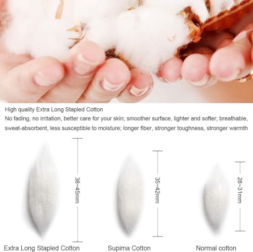 AKIDO Solid White Casual Men’s Socks – No Show Low Cut Loafer/Footies Socks Thin Breathable Cotton Socks Sneaker Flat Boat Socks (6 Pack)4