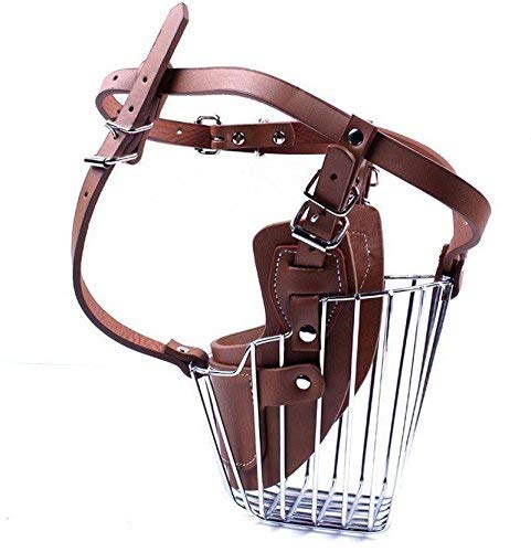 PSK PET MART Steel Muzzle with Adjustable and PU Leather Mouth Mask -(XS) (Brown) (B08G6FYDZQ) Amazon Price History, Amazon Price Tracker