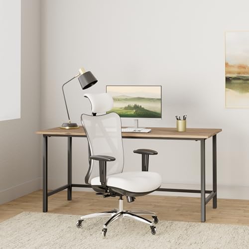Image of Duramont Ergonomic Office Chair - Adjustable Desk Chair with Lumbar Support and Rollerblade Wheels - High Back Chairs with Breathable Mesh - Thick Seat Cushion, Head, and Arm Rests - Gray
