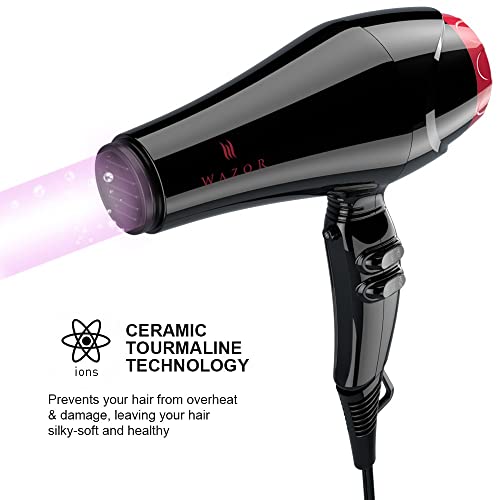 Professional Negative Ionic Hair Dryer, 1875W Salon Lightweight Blow Dryer With Pro Ac Motor, Fast Dryer With Concentrator Nozzle And 2 Speed & 3 Heat Settings, Black #TOP1