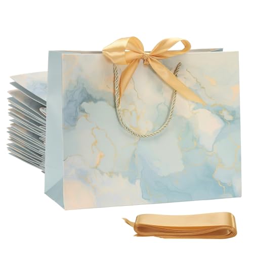 PATIKIL {tMtgobO 12.6x9.8x4" 12 TCY MtgbvobO  a ԉŃp[eB[ VbsOpnht F/u[