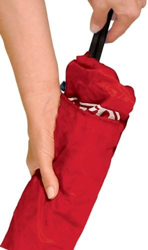 Radio Flyer Wagon Canopy