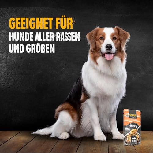 BELCANDO MASTERCRAFT Topping Lachs, 12x 100g Beutel, Nassfutter für Hunde, getreidefrei, sortenfrei, Ergänzungsfutter, Made in Germany