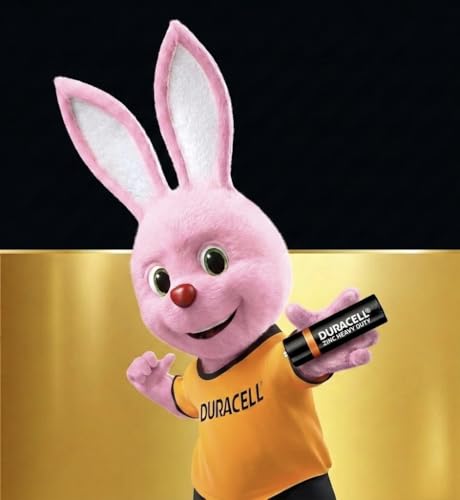 Image of Duracell 2026 Launched Zinc Heavy Duty Battery, 100% Longer Lasting, Anti-Leak Turbolock Technology, Eco-Friendly Batteries for Every-Day Household Devices (AA, Pack of 24)