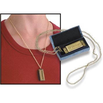 ARMONICA DIATONICA - Hohner (504/20A) Silver Star (Nota La) (20 Voces)