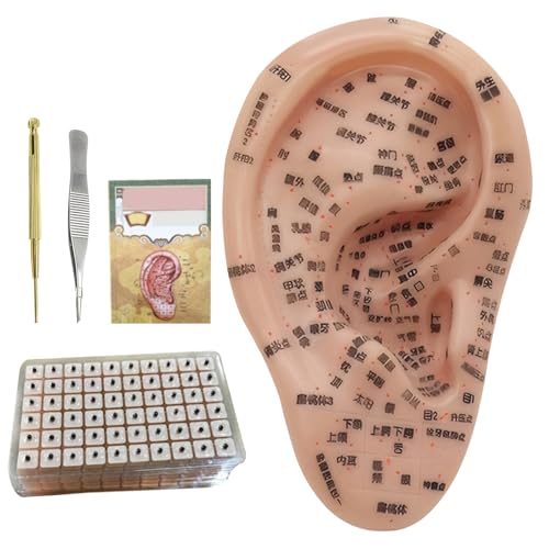 Semillas de oído para reflexología: kit de acupuntura con modelo de oreja 2