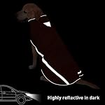 Wasserdichter Hundemantel Hundejacke mit Kragenloch Klettverschluss Fleece gefüttert reflektierender Wintermantel für mittelgroße große Hunde Orange 5XL – Bild 4