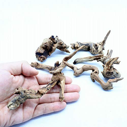 Amazon.co.jp: コケのインテリア コケリウム テラリウム 流木