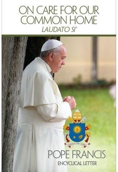 Sobre Care para nuestro hogar Común (laudato siâ €