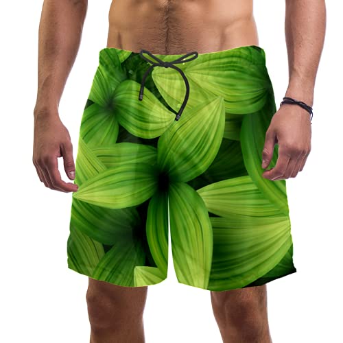 Short de bain homme vert à motif tropical taille S avec doublure maille confort