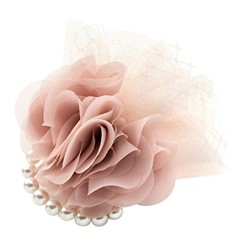 [b D] N[hbg RT[W tH[} Ǝ  w  }}X[c t[ Ԃт `[ p[ s Nbv ysN×TCYz