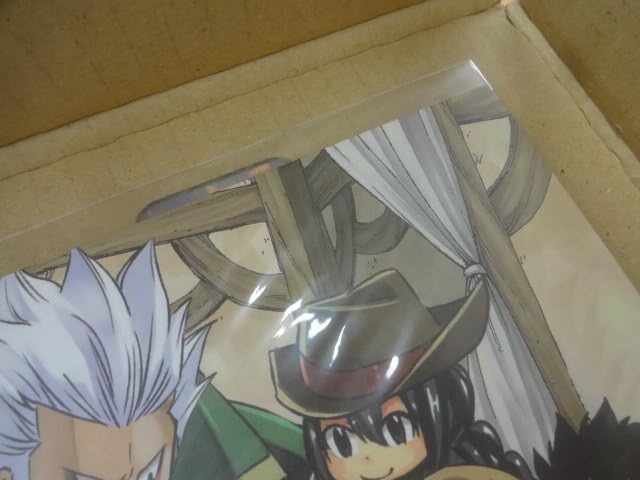 Amazon.co.jp: FAIRY TAIL フェアリーテイル 完結記念 扉絵 複製