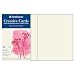 Strathmore 105-220 Full Size Creative Cards, Palm Beach/Plain Edge, 50 Cards & Envelopes