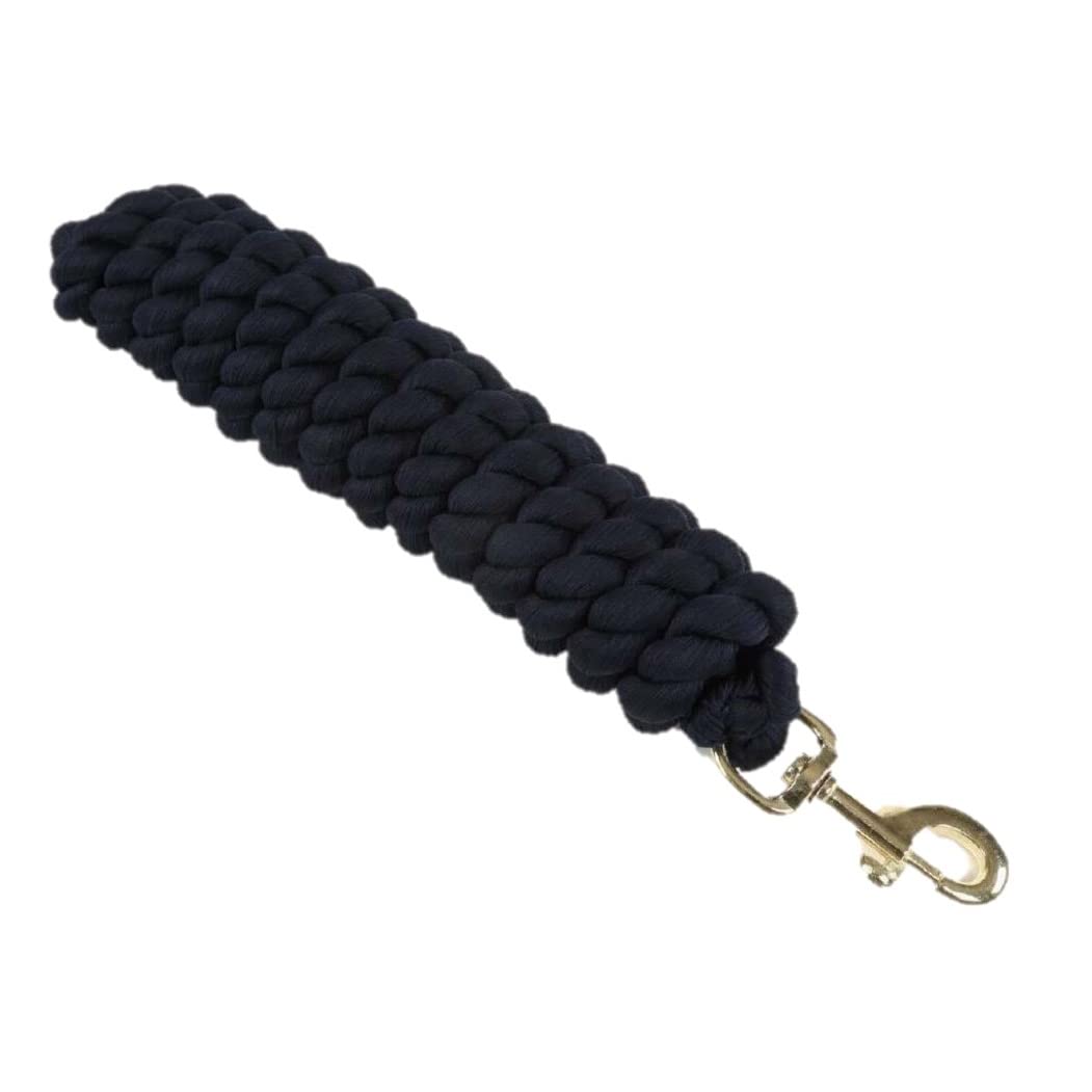 Shires Cuerda de plomo extra larga 440, Sky, 3 m