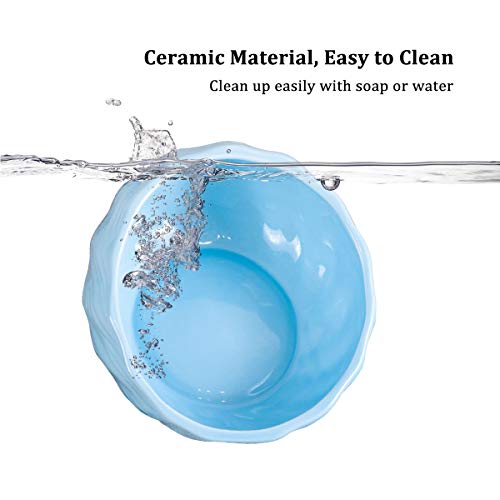 Jemirry Ceramic Elevated Cat Bowl Anti Vomiting, 15° Tilted Food And Water Cat Bowl Set, Raised Pet Bowl With Non-Slip Stand For Cat And Dog, Protect Pet's Spine, Microwave Dishwasher Safe, Sky Blue #TOP3