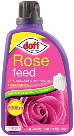 Doff Portland Ltd 1L Rose Feed Pink