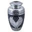 Angel Wing-7