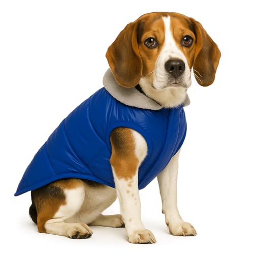 Image of The Pets Company Dog Winter Coat Jacket, Clothes, Windproof, Waterproof, Light Weight, Washable, Ultra Warm Thick Fleece Lined Dog Vest for Cold Weather Protection, (Blue, Medium - 20 Inch)