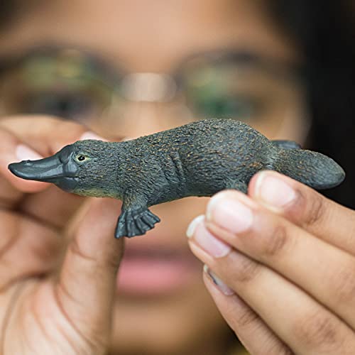 SCHLEICH 14840 Schnabeltier, für Kinder ab 3+ Jahren, WILD Life - Spielfigur