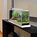 Fluval Spec V Aquarium Kit, 5-Gallon, White