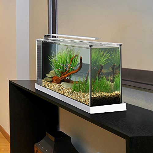 Fluval-SPEC-Freshwater-Aquarium-Kit-Aquarium-with-LED-Lighting-and-3-Stage-Filtration