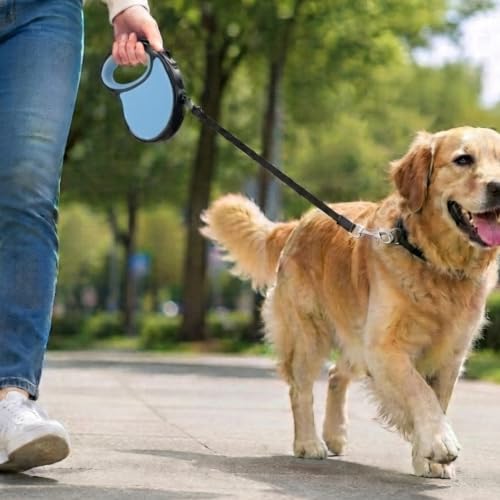 Image of Cawypety Retractable Dog Leash, 16ft /5M Heavy Duty Extendable Dog Walking Lead | One-Hand Brake & Lock, 360 Tangle-Free | Durable Pet Leash with Ergonomic Anti-Slip Handle for All Small,Large Breeds