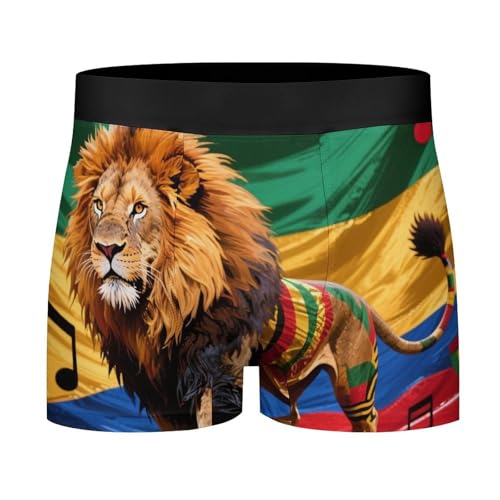 Men's Swim Briefs Bulge Swim Trunks4