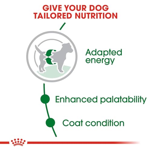 Royal Canin Mini Adult - Image 3 of 5