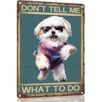 Targa In Metallo 30x20 Cm "Warning Property Protected By Dog" - Shih Tzu - Decorazione Umoristica