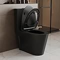 DeerValley Elongated One Piece Toilet with 17'' Comfortable Seat Height ADA Toilet, Black Dual Flush Toilet with Soft Close Seat, High Efficiency 1.1/1.6 GPF 10'' Rough-In