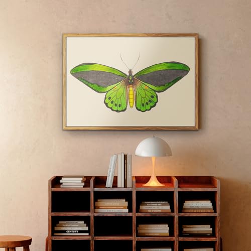 crmotu Vintage Framed Wall Art, Green Butterfly Rustic Wall Decorations, Nature Insect Pictures Canvas Prints, Retro Moth Paintings Wall Decor Living Room Bedroom, Farmhouse Bathroom Decor, 16x24 inch