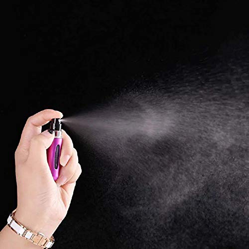 Frasco Frasquinho Amostra Perfume Viagem Bolso Bolsa Decant Borrifador Spray Mini Refil Demandi (Ros