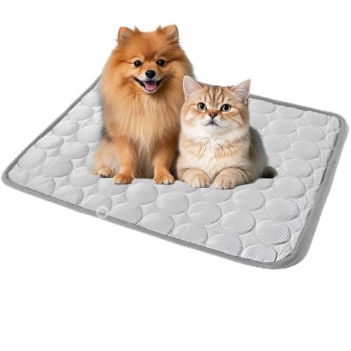 EIHI 1 Pezzi Tappetino Refrigerante per Gatti e Cani, Tappeto Rinfrescante per Gatti Materassino Refrigerante per Animali Cuscino Perfetto per Cani in Estate 62 x 50 cm