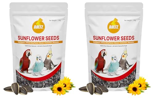 Image of BOLTZ Striped Sunflower Seeds- 1 Kg for Lovebirds, Cockatiels, Sun Conure, African Grey Parrot, Amazon, Macaws, Cockatoos for All Life Stages (SFS) (Pack of 2)