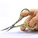 BIHRTC Vintage European Style Scissors Stainless Steel for Cross Stitch Cutting Embroidery Sewing Handcraft Craft Art Work DIY Tool(Gold)