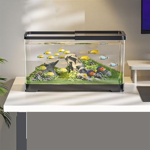 Aquarium de bureau en acrylique noir taille M avec couvercle - 4