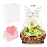 LURICO Folleto de deseos de diente de león en cristal, diseño de diente de león eterno, con luz, regalo de flores, para mujeres, novia, madre, San Valentín, Navidad, cumpleaños