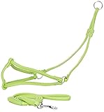 Dogline Soft Round/Rolled Genuine Leather Step-In Harness with 15 to 20-Inch Chest and 36-Inch Leash, Green