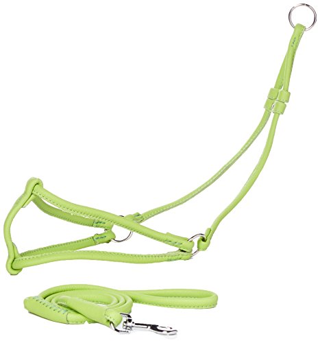 Dogline Soft Round/Rolled Genuine Leather Step-In Harness with 15 to 20-Inch Chest and 36-Inch Leash, Green