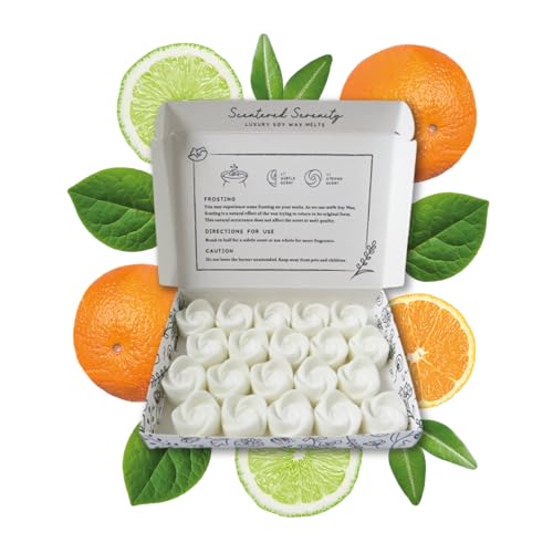 Cera de mandarina y lima albahaca para crear un ambiente relajante y fresco en tu salón