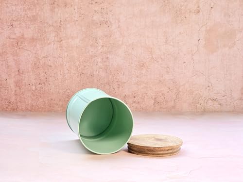 Image of JISCOVERY Airtight Tea & Sugar Container Set of 2| Metal Storage Canister with Wooden Lid for Kitchen| Storage Box for Kitchen Counter Top| 1300 ML| Light Green