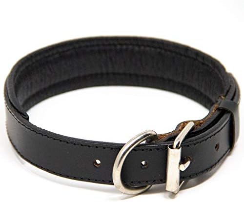 Logical Leather Leather Padded Dog Collar | 100% Genuine Full Grain Leather Dog Collar With Riveted Strap Ends & Premium Hardware | Brown | Small